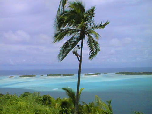 Bora Bora